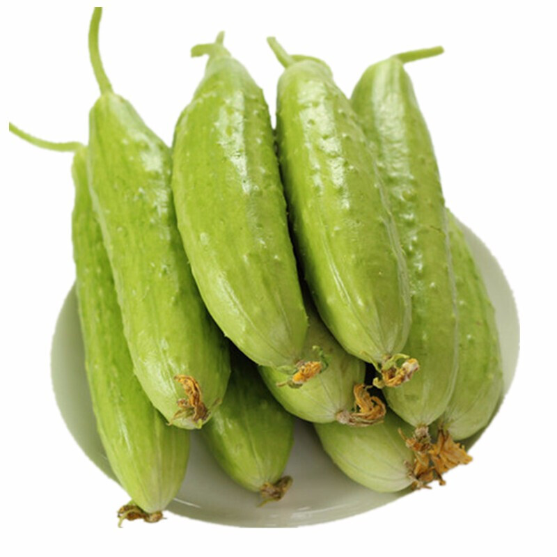 山东海阳白玉瓜新鲜水果蔬菜白瓜可开发票10斤