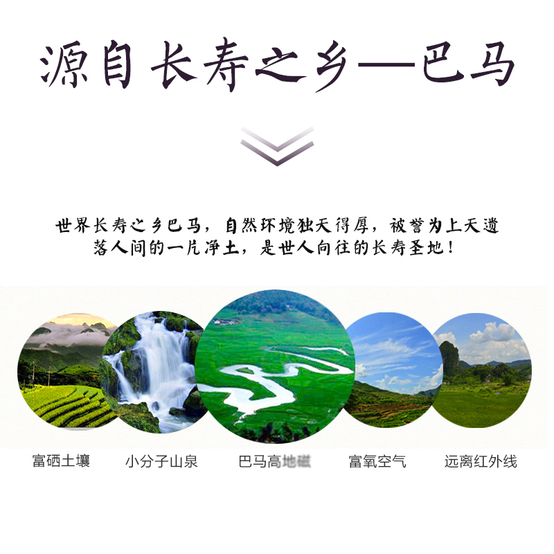 巴马紫米糙米紫糯米黑米五谷杂粮粗粮500g广西巴马特产