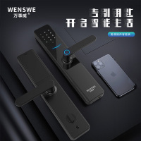 【全国免费安装】WENSWE万事威智能锁指纹锁电子锁密码锁刷卡家用酒店防盗门木门智能门锁T02