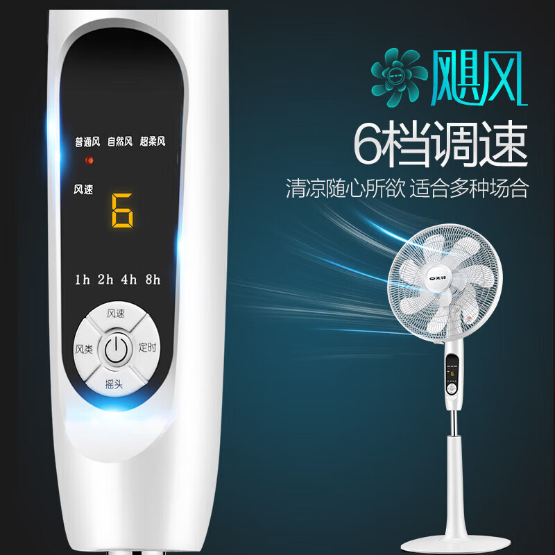 先锋 FS40-16ER 电风扇双层风叶轻音大风量落地扇七叶五叶柔风家用智能遥控定时风扇立式电扇摇头风扇高清大图
