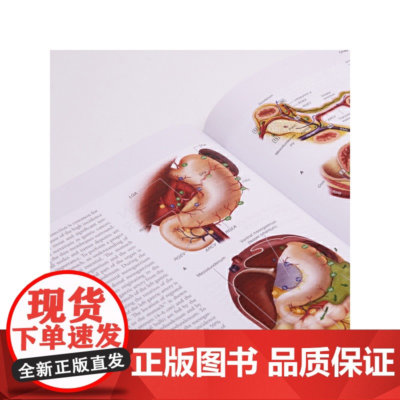 [央视网]Maingot腹部手术第12版英文版 关注手术过程 提高实操技术 关注手术过程和疾病诊疗方面的新观点HL高清大图