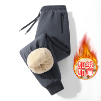 伊夫狼爪(YIFULANGZHUA)冬季新款男士羊羔绒运动休闲裤防风防水棉裤直筒裤松紧腰束脚长裤