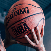 斯伯丁 篮球 74-604Y