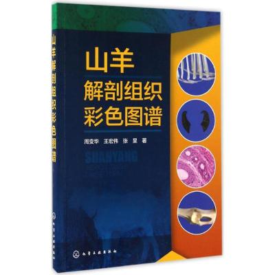11山羊解剖组织彩色图谱978712228588122