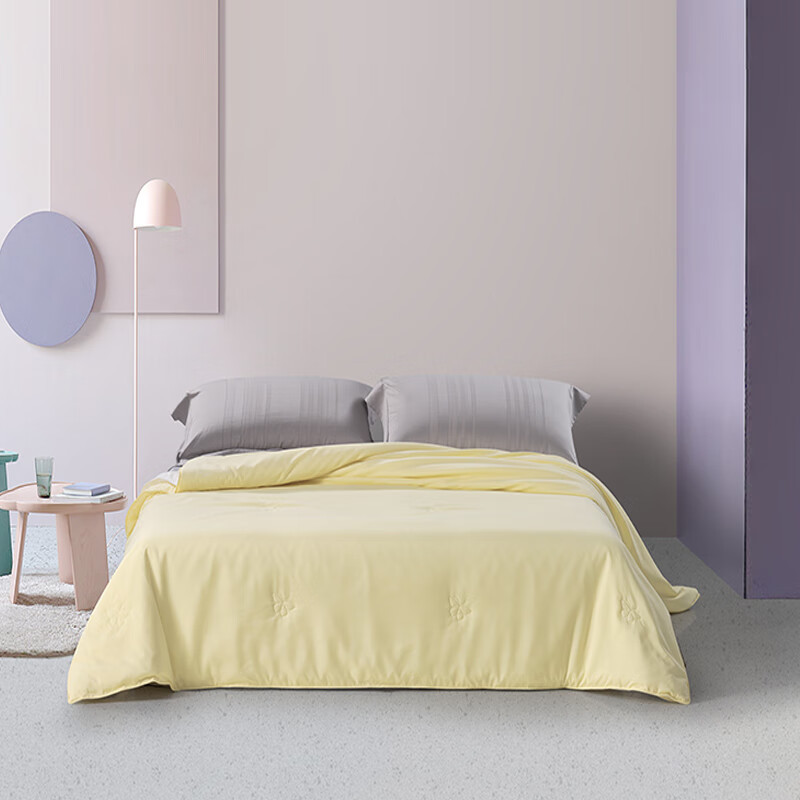 单品-床上用品2:水星家纺水洗蚕丝被200cm×230cm高清大图