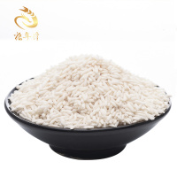 粮年隆白糯米江米白糯米长粒糯米包粽子米酒糯米饭煮粥400g
