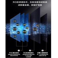 威世顿VISERTON 饮水机 家用净水机台式直饮机净水器免安装 RO反渗透除菌 净饮调奶泡茶一体机