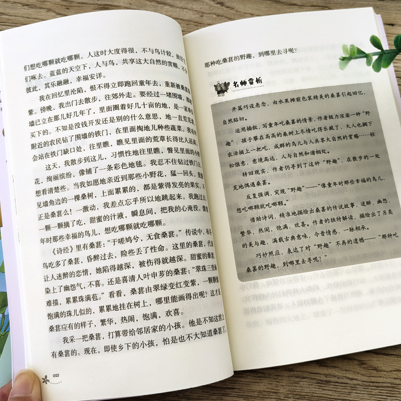 [正版]全套4册书籍 中国近代名家经典作品集初中小学生课外阅读读本精选随笔学生版全集汪曾祺小说集朱自清丁立梅季羡林散文高清大图