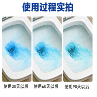 双安 洁厕灵厕所除臭神器洁厕灵厕所马桶水箱清洁剂洁厕液块