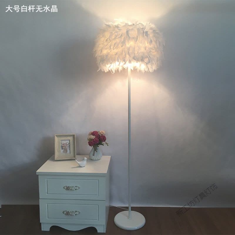 苏宁放心购 落地灯ins风羽毛卧室公主北欧客厅创意立式台灯具灯饰网红床头灯图片