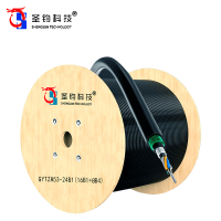 圣钧科技SHENGJUN TECHNOLOGY 通信光缆24芯 GYTZA53-16B1+8B4+米
