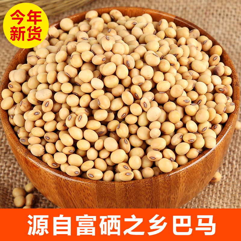 巴马黄豆农家自种2021新小黄豆土黄豆五谷杂粮打豆浆大豆450g