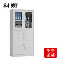 科朔 文件柜铁皮柜资料柜办公室柜子档案柜 偏三斗文件柜 KS-G039
