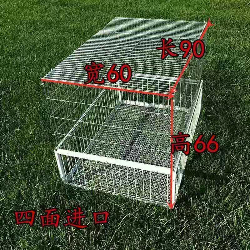 无天窗40.30.26(2个进口) 天落鸽子笼捕鸽信鸽用品只进不出鸽子笼加密鸟笼鸽跳笼拼装撞门笼