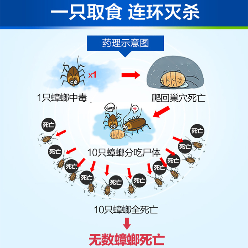 德国拜耳拜灭士蟑螂药5g除敌杀虫喷雾套装家用非无毒全窝端厨房灭蟑神器