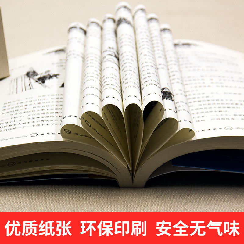 [醉染正版]淘气包埃米尔 正版 林格伦作品选集儿童文学作品 小学生课外书阅读书籍 儿童三四年级阅读读物非注音版 中国高清大图