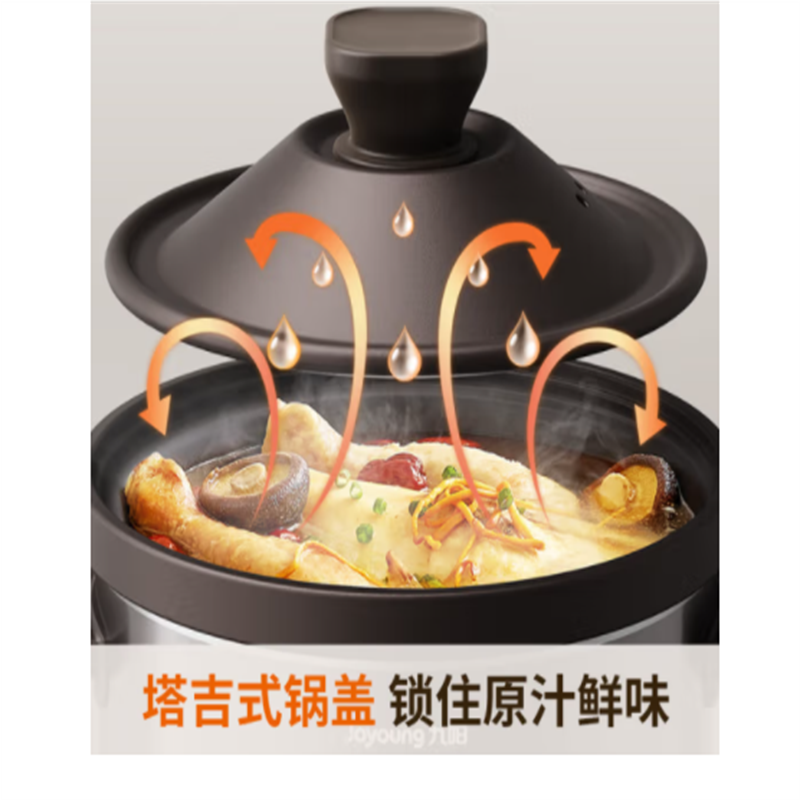 内胆数量:单胆;内胆材质:炽陶或紫砂;额定功率300-500W,具有保温、定时(0-24小时)、预约功能,控制方式:微电