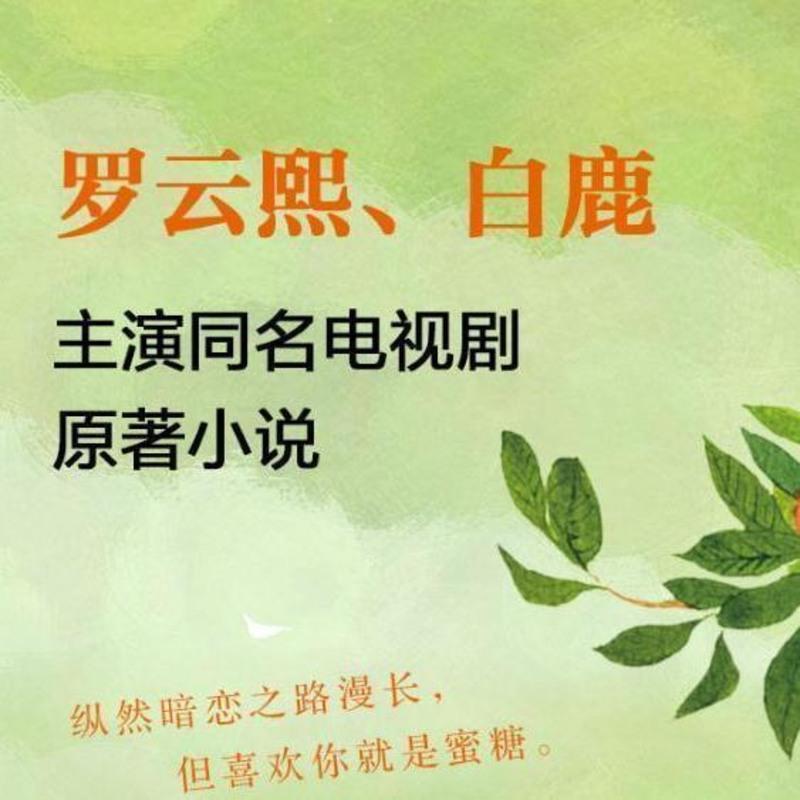 半是蜜糖半是伤棋子罗云熙白鹿主演暗恋虐心催泪高甜宠言情小说书 半是蜜糖半是伤 周边赠品不含书