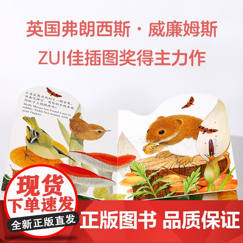 亮丽精美触摸书小猫头鹰奥奇小兔比利0-3岁幼儿早教宝宝启蒙故事书儿童婴儿不易撕烂触感刺激感官认知书 正版书籍高清大图