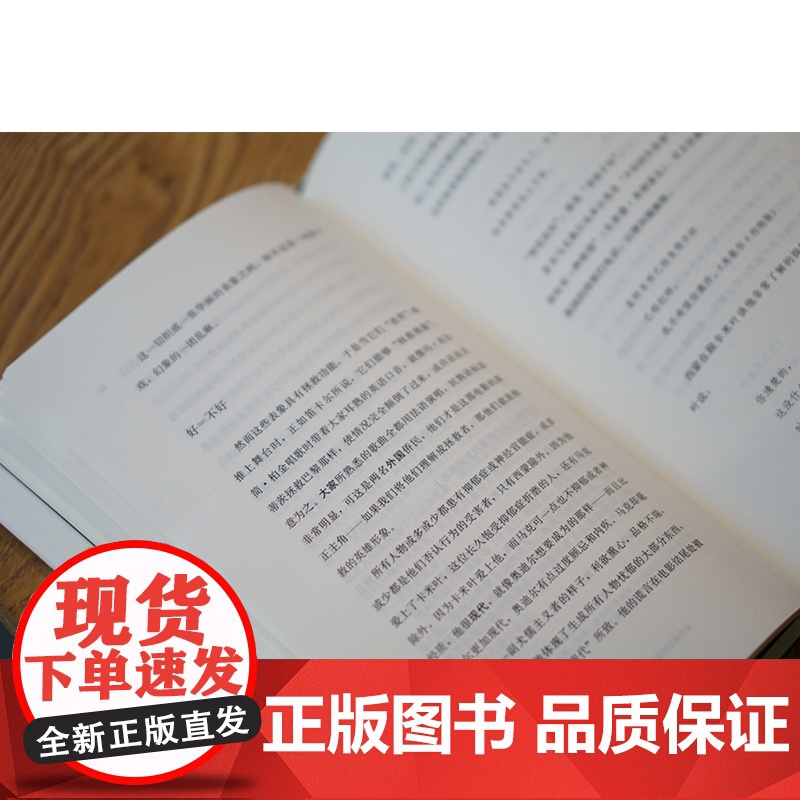 象征的贫困1 超工业时代 当代激进思想家译丛 折射集 [法] 贝尔纳·斯蒂格勒著 超工业时代中政治与美学的关系 南京大学高清大图