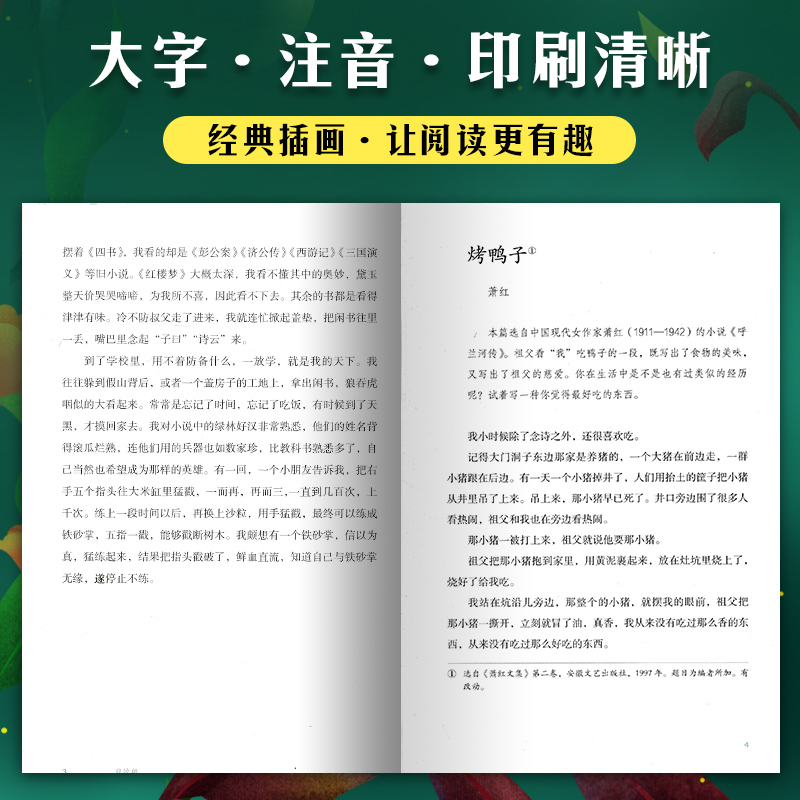 莱茵石的手镯 四年级上 [正版]语文素养读本小学卷 莱茵石的手镯四年级上册 北京大学语文教育研究所组编 温儒敏人民教育亲高清大图