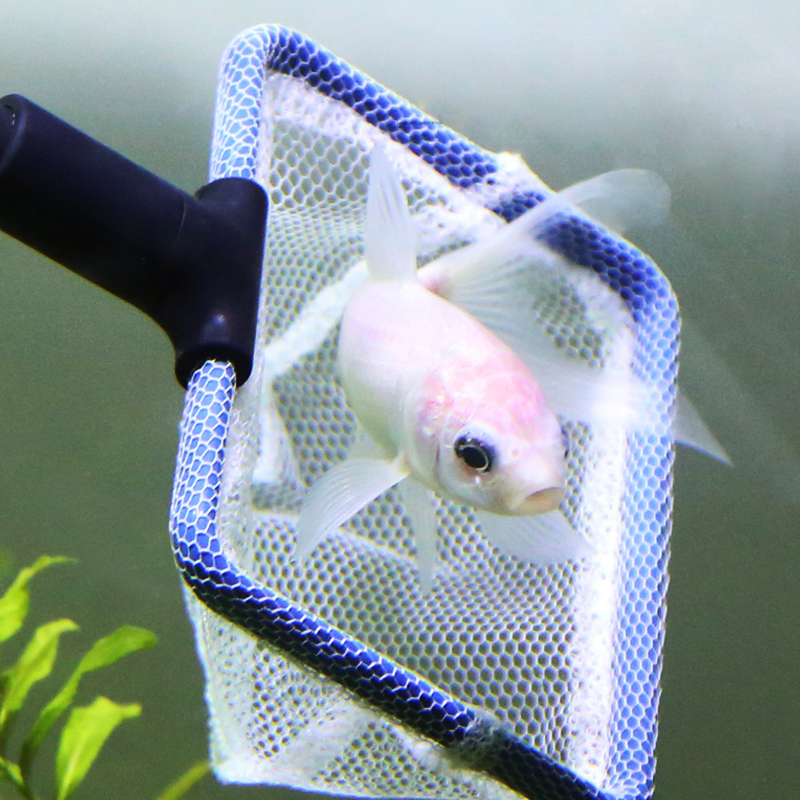 鱼缸清洁工具 长柄鱼缸擦玻璃清洁刷子多功能水族箱长把刷子除藻高清大图