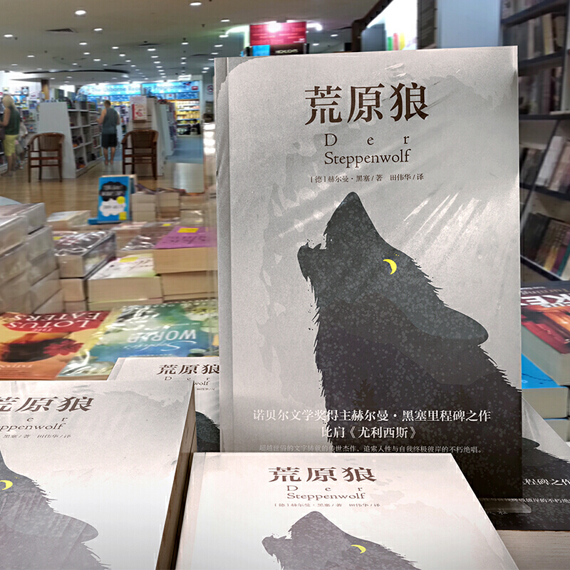 默认规格 [正版]荒原狼无删减完整版 赫尔曼黑塞著 诺贝尔文学奖得主 治愈社恐内的焦虑 克服社交恐惧 现当代故事世界名著高清大图