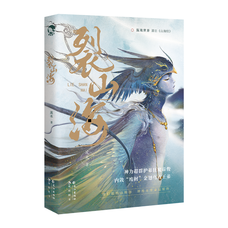 音像裂山海(青春幻想小说)流水 著