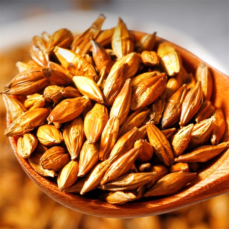 大麦茶100克煮水泡茶喝大麦茶正品饭店用干货正品新货9260高清大图