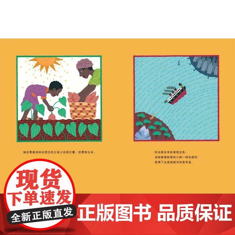 经典正版传记绘本 和平树 一个来自非洲的真实故事 花婆婆绘本 天空在脚下 雪花人 鞋子里的盐 0-2-3-6-8-9周岁高清大图