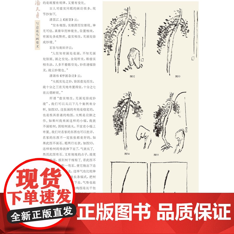 潘天寿写意花鸟画要义 中国水墨写意花鸟国画画法技法构图教学 潘天寿花鸟画册画集临摹鉴赏指头画谈国画技法教程书名家讲稿系列高清大图