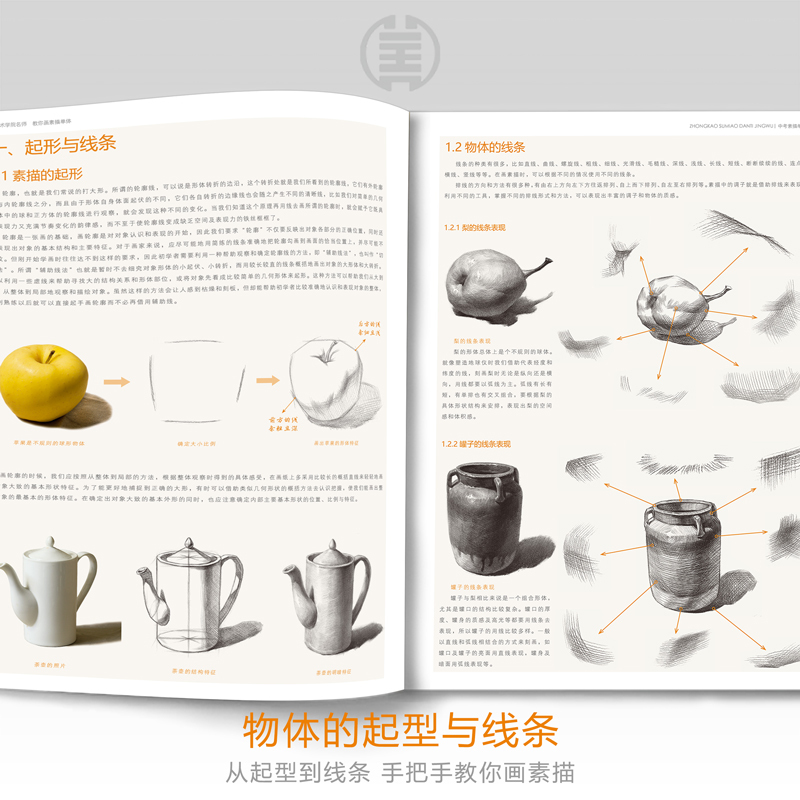 正版中考素描单体静物临摹画册基础教程初学者入门范本单体组合透视打