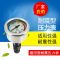 手提式高压清洗机家用全自动洗车机配件泵头总成220V 通用 压力表 手提式清洗机(压力表总成)