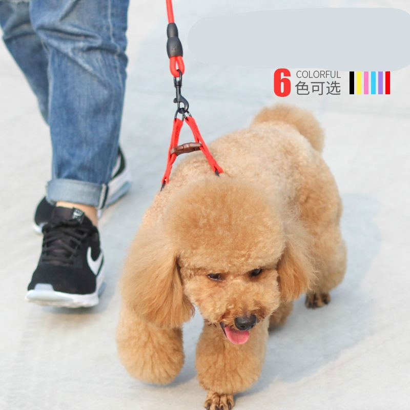 狗狗牵引绳狗链子遛狗绳项圈猫绳小型犬中型大型狗链子