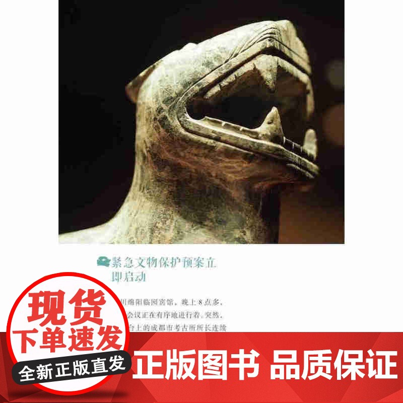 正版]博物馆里的考古大发现——金沙迷雾 zy高清大图