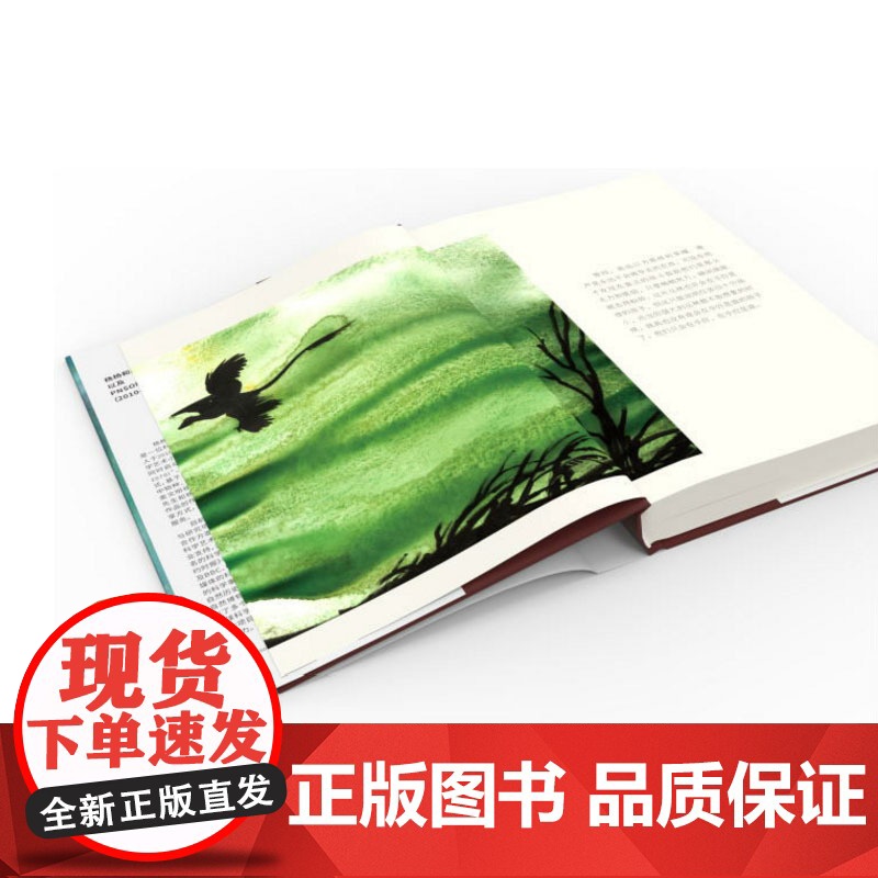 高远的天空传说 恐龙记 杨杨和赵闯科学小说 儿童文学 课外读书少年儿童出版社高清大图