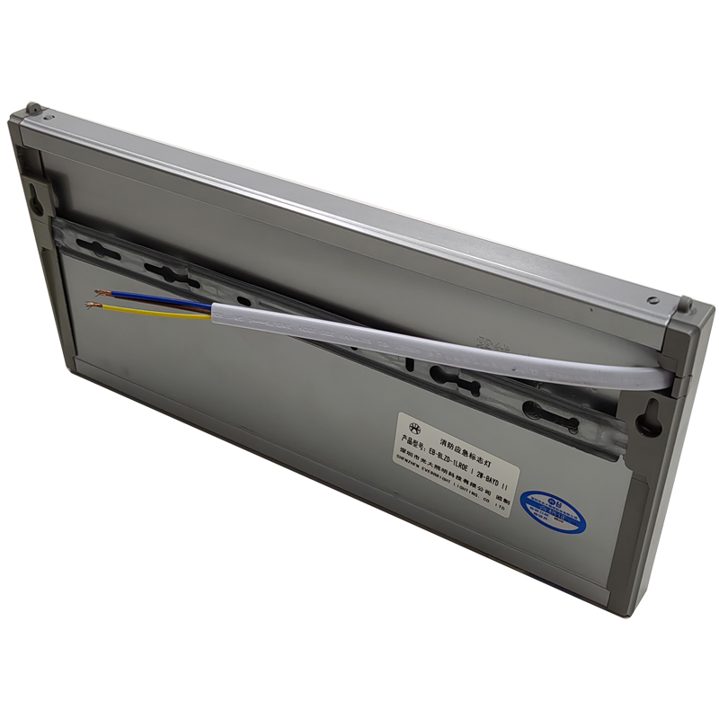 光大 M-BLZD-1LROEI5WCBD AC220V 5W 300mAh IP30 消防应急标志灯具(计价单位:套)高清大图