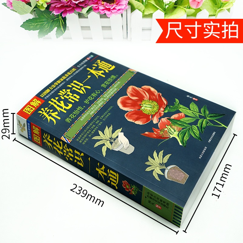 [醉染正版]正版 图解养花常识一本通 以图解方法掌握家庭养花百科 手绘高清晰图片 解决养花难题 养花宝典花卉大全 养高清大图