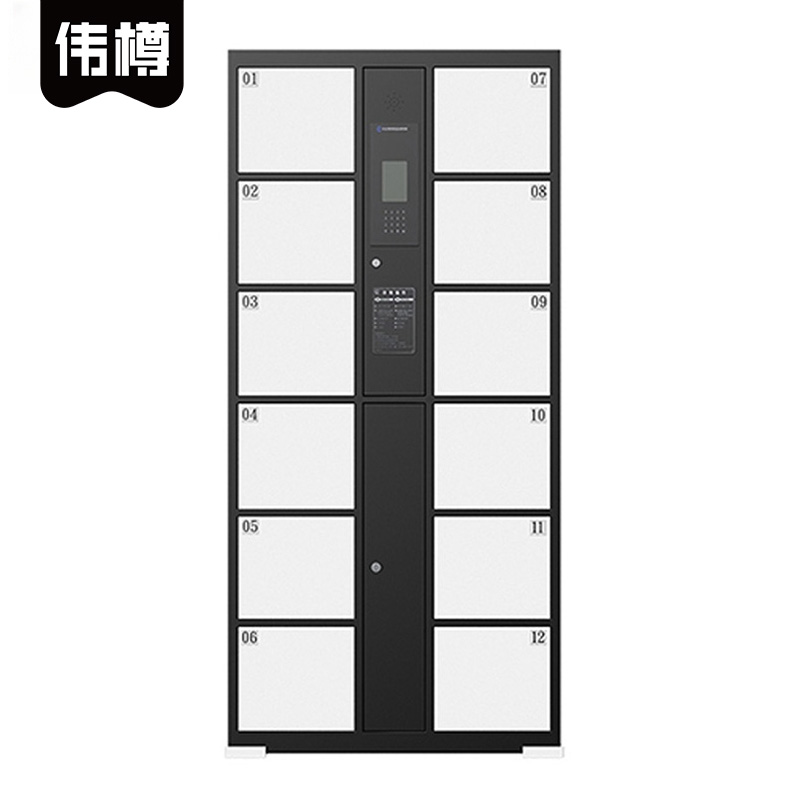 伟樽智能储物柜人脸识别12门850*460*1800mm台
