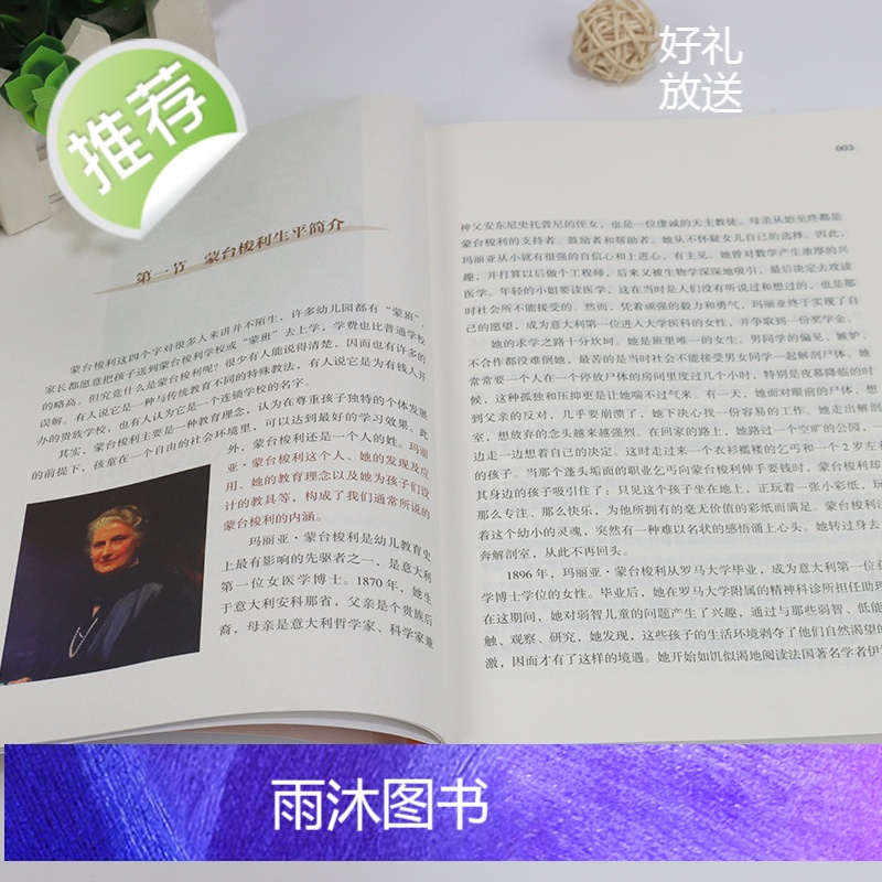 0~6岁敏感期影响孩子的一生:跟吴晓辉学蒙台梭利教育法 20年蒙台梭利教学倾囊相授 早期教育法家庭教育蒙氏教育育儿书籍畅高清大图