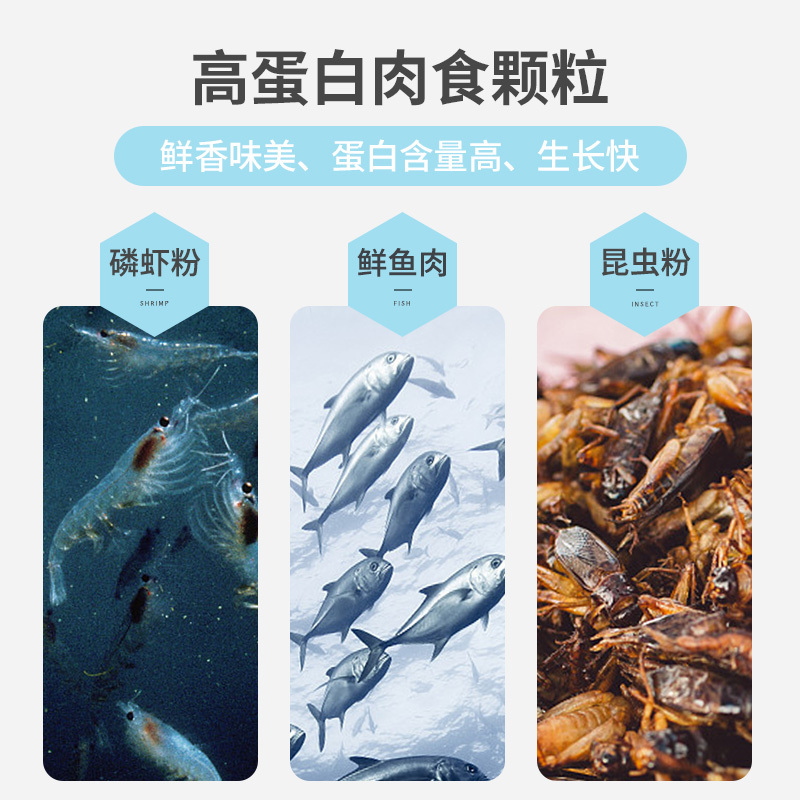 鱼饲料专用鱼粮地图鱼战船鱼观赏鱼抗病防烂身鱼食高清大图