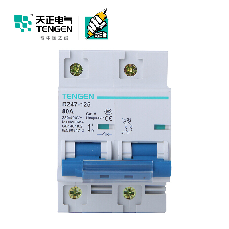 天正电气 空气开关 DZ47-125 2P C80A 6KA 01060020006 微型断路器