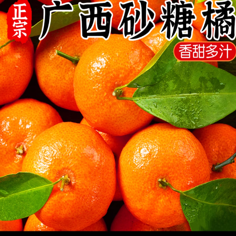 鲜贝达 广西砂糖桔带箱5斤装精品果新鲜水果橘子沙糖桔