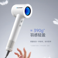 蓝宝(BLAUPUNKT)高速吹风机家用等离子护发大风力速干恒温电吹风机BP-FT01-BAI