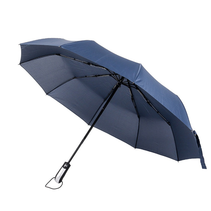 创意10骨全自动伞 高档商务家用晴雨伞 加大加固晴雨两用商务伞