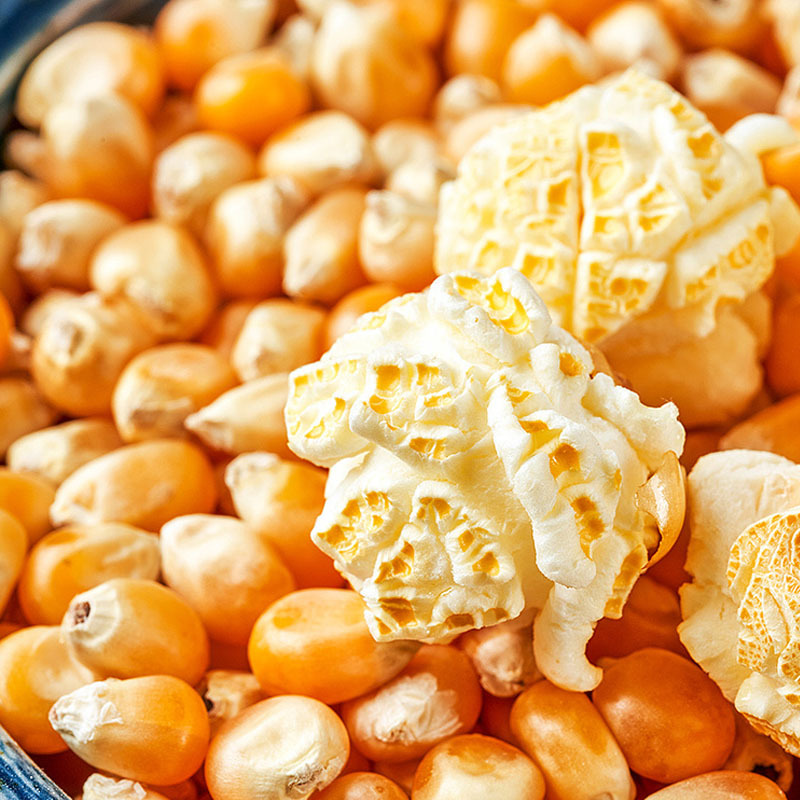 溢田爆裂玉米球形爆米花玉米粒100g5