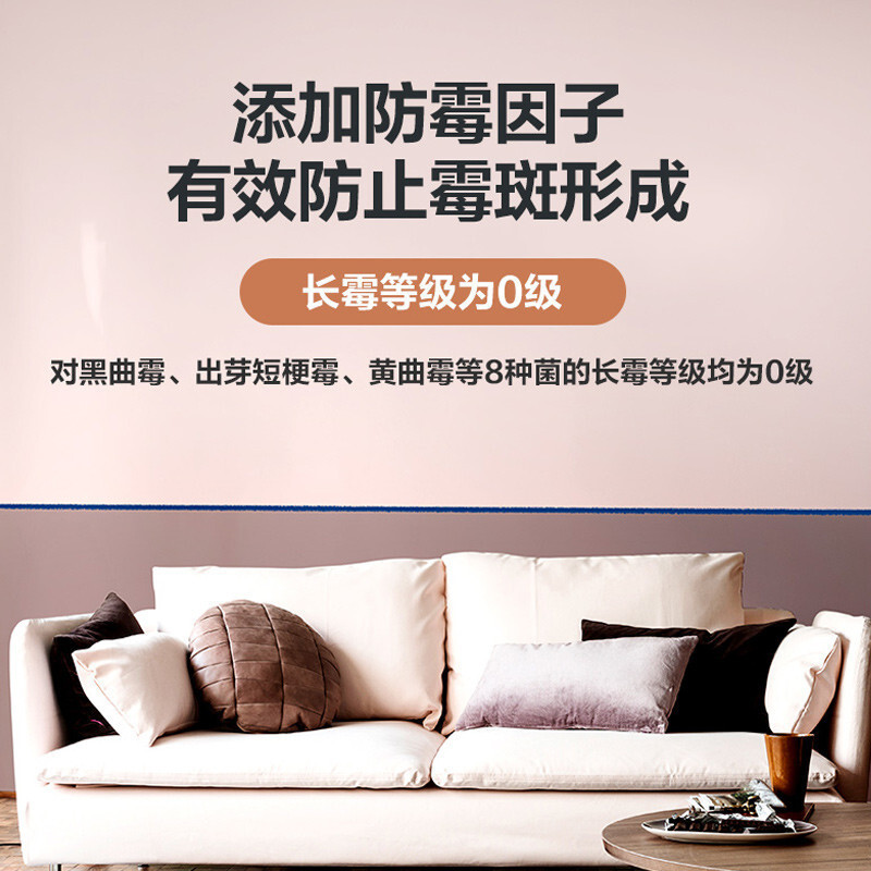 多乐士（dulux）家丽安专业净味120 内墙乳胶漆 油漆涂料 环保墙面漆 A8666 哑光白色 18L高清大图
