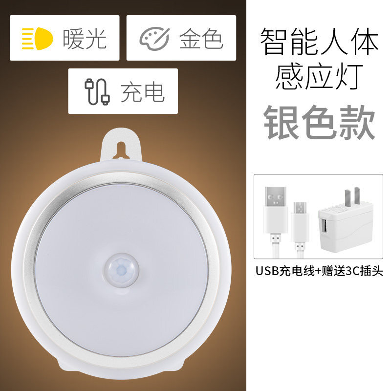 光控人体感应LED小夜灯泡过道楼道走廊声控家用厕所无线可充电池波迷娜BOMINA 银色暖光【充电】+充电头
