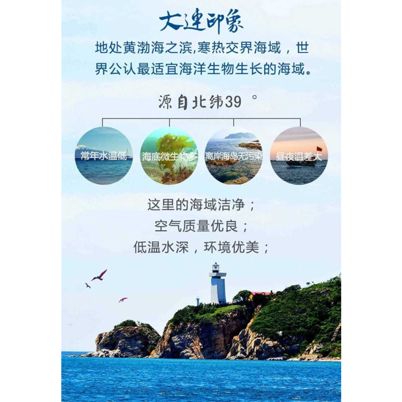 君旺海鲜 螺旋藻大连特产500g/袋出口优级裙带菜海白菜海木耳海带片海味即食零食海鲜水产干货