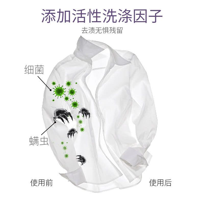 花卉诗 鸢尾除螨香氛洗衣液 2L (单位:瓶)图片